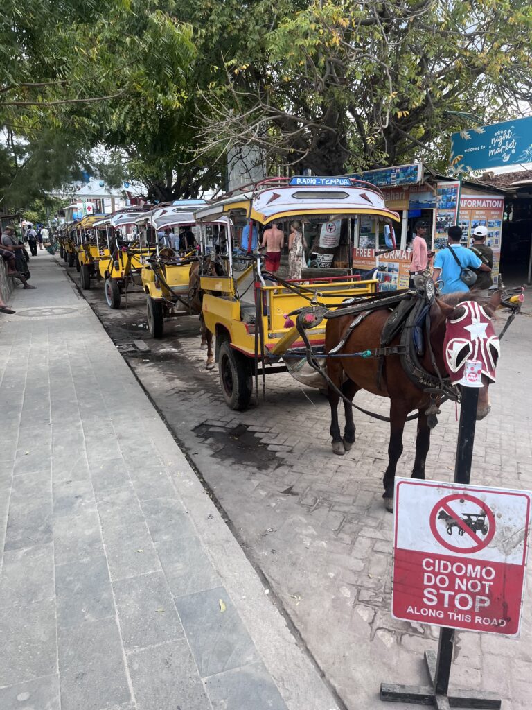 cidomos garés les uns derrière les autres à Gili Trawangan