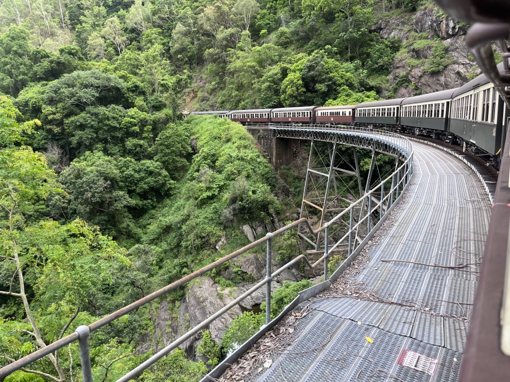 Train panoramique dans la forêt tropicale de Daintree Queensland Australie